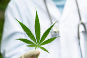 New Study From Oregon State University Indicates Cannabis Can be Used to Fight COVID