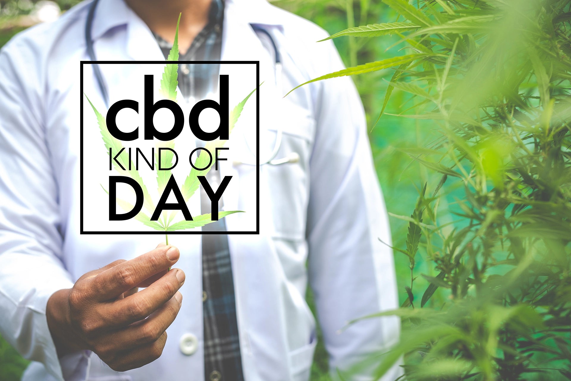 First Full Double-Blind Placebo Human Clinical Trial Shows Cannabigerol (CBG) Reduces Stress & Anxiety, as Well as Improving Verbal Memory